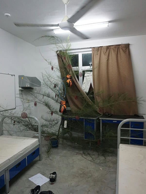 40. alt text only: Weihnachtsbaum im Krankenzimmer mit Dekoration und chaotischer Umgebung.